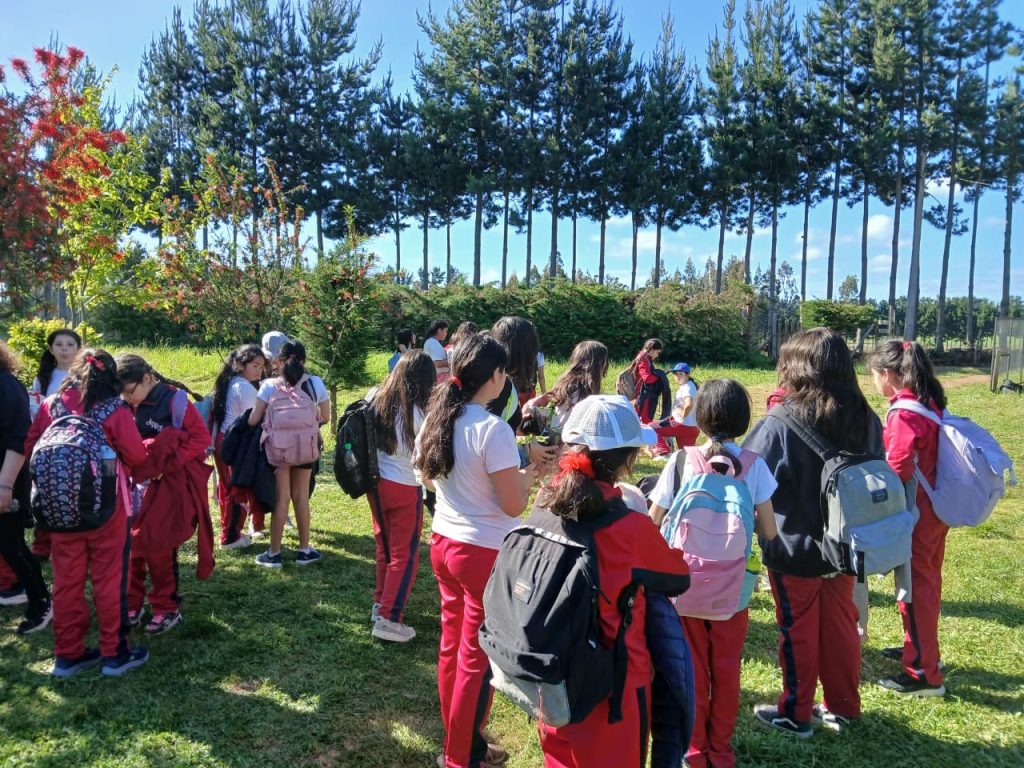 0078e12f-a7d0-4d02-9c8a-04438ba61dd5